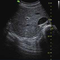 Ultrasound technology Kenya